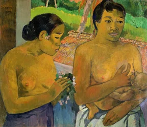 Offeret, 1902
